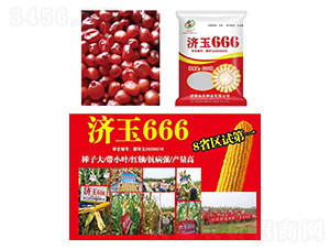玉米種子-濟玉666-研創(chuàng)種業(yè)