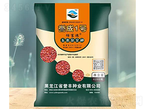 譽成1號玉米雜交種子-譽豐