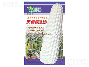 ���FŴ919-���׷N��-�𸣈@�r(n��ng)�I(y��)