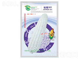 ���FŴ161-���׷N��-�𸣈@�r(n��ng)�I(y��)