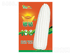 ���׷N��-�y�@-����