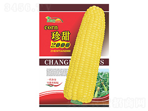 ���׷N��-����2000-����