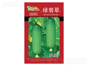 �S�ϷN��-�G���-����