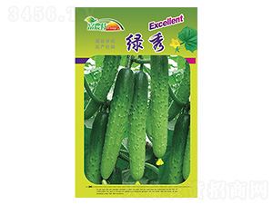 �S�ϷN��-�G��-����