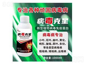 ��������-�f�@��-ϲ����