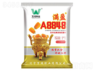 玉米種子-滿(mǎn)盈A8848-萬(wàn)鴻種業(yè)