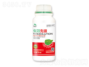 �߶˲��~�I(y��ng)�B(y��ng)������-��ѿ���h-��|ֲ��-ʥ��ʘI(y��)