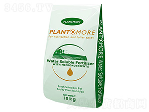 ���|(zh��)����-��������