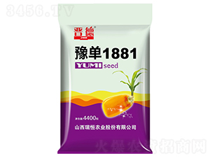 豫單1881玉米種子-晉德-瑞恒農(nóng)業(yè)