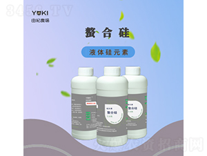 ���Ϲ��-�ɼo(j��)���� 