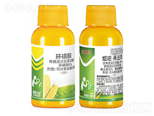 ��������݄�-�������(l��)-�����S