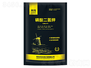 ��������-�̬�����