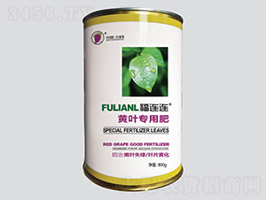 ���B�B�S�~����-�t����