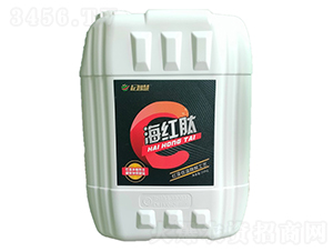 ���t�������-���ǻ�