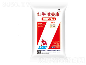 �tţΨ����-���·���