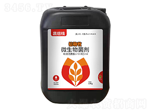 ������΢�������-�߼~��