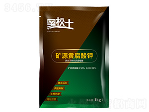 �VԴ�S�����-������-�r�����B(t��i)