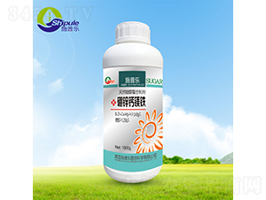 ���\�}�V�F-����-ʩ�՘� 