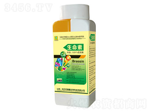 100ml������-��������