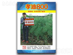 孝油800-油菜種子-德名種業(yè)