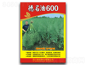 德名油600-油菜種子-德名種業(yè)