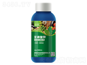 �������0-550-300+TE-��¶-���컯�r(n��ng)�Y