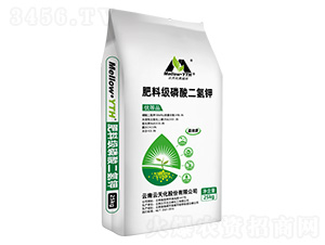 ���ϼ�(j��)��������-���̘�-���컯�r(n��ng)�Y