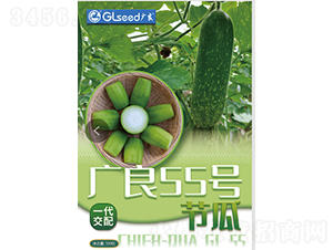 �V��55̖��(ji��)��-���ϷN��-�V��