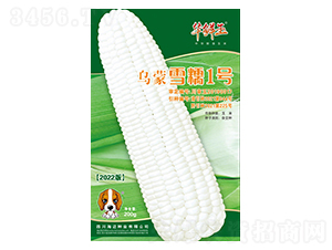 ����ѩŴ1̖-���׷N��-�A�r��-���~���H