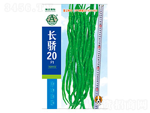 �L�20-�����N��-���~���H