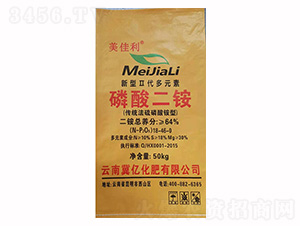 ������@-������-���|����