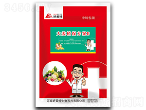 ��ֲ������B-������