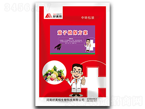 ����ֲ������-������