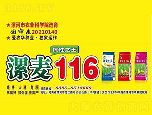 ����116-С���N��-���r(n��ng)�A�N�I(y��)