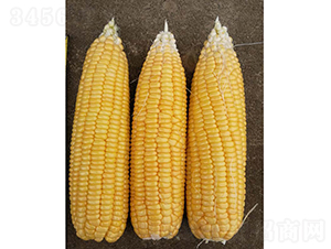 �V����23̖����-���׷N��-�V��