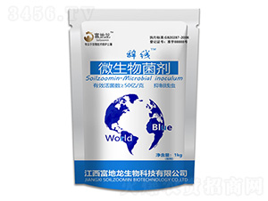 �o��΢�������-������