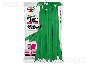 翠綠40-諾易達(dá)