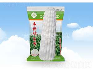 �S��Ŵ6̖(h��o)-�Ƙ��N�I(y��)