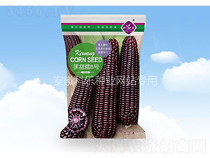 ����Ŵ8̖(h��o)-�Ƙ��N�I(y��)