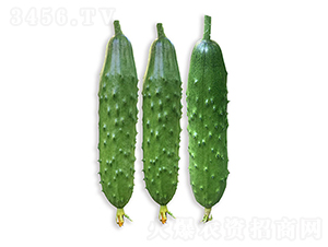 ���r�G��8̖-�S�ϷN��-���r�r�I(y��)