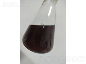 �ػʍu������Һ-��������