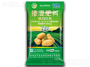 �������16-14-10-����-���S�d