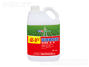 �����辚g-���o-����������