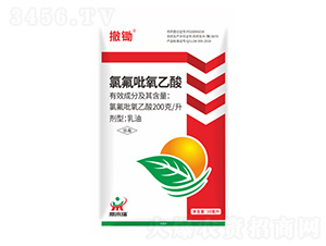 �ȷ��������ᮐ����-���z-����(l��i)��