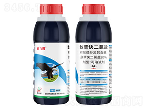 20%���ݿ�����}-��(zh��n)�w��-������