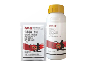 10%���Ѽ׭h(hu��n)��Ҹ���-����ñ-�|�h(yu��n)����