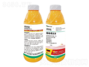 30%��������ݬȥ��800��-���݃|-�f(w��n)��