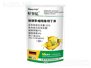 31%���ǲݡ�����¡���ض���500��-���݃|-�f(w��n)��