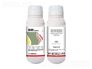 25��/��(li��n)����������-�Ұ�r(n��ng)��