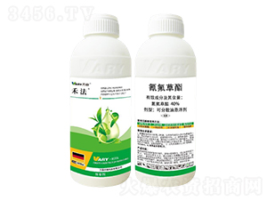 40%�������-�̷�-�f(w��n)��